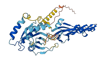 GTPBP10 3D structure