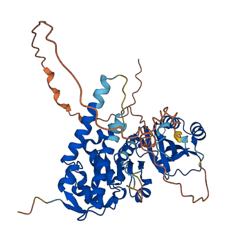 DENND11 3D structure