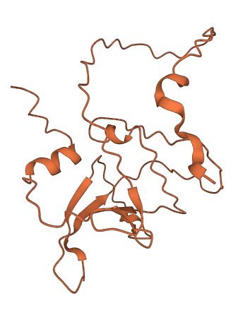 BLACE 3D structure
