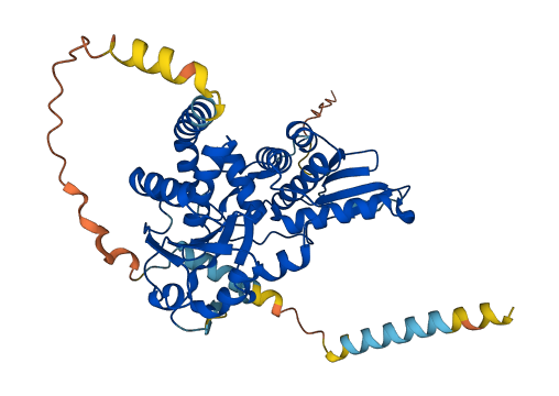 CDC14C 3D structure