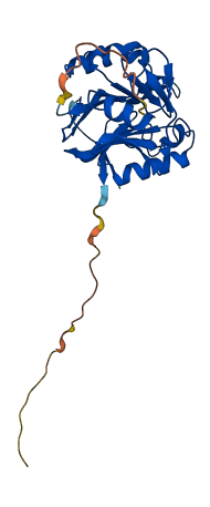 MBLAC1 3D structure