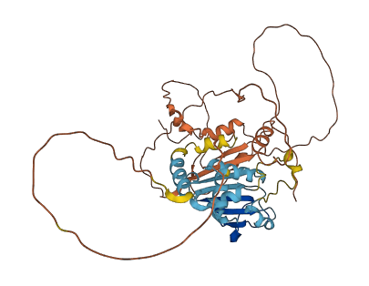 PMS2P1 3D structure