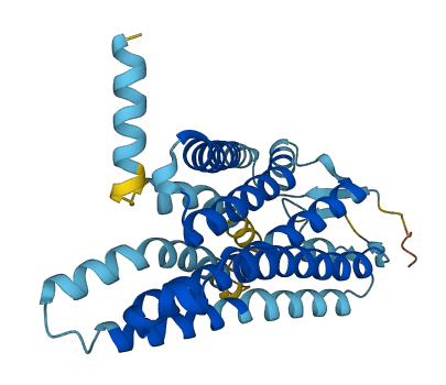 OR2A25 3D structure