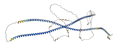 CTAGE15 3D structure