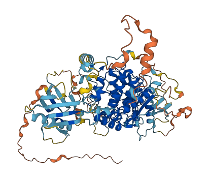 MTMR11 3D structure
