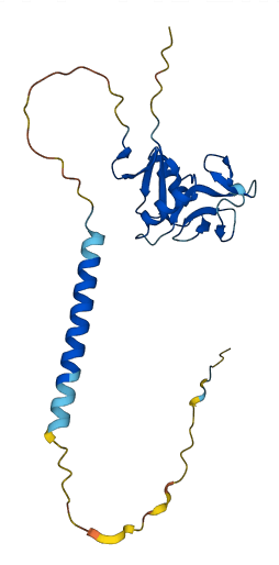 Klrb1b 3D structure