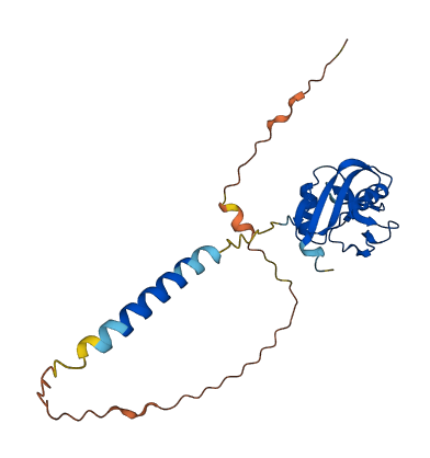 Clec2d2 3D structure