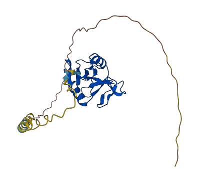 Clec2d3 3D structure
