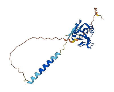 Clec2d6 3D structure
