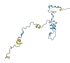 C5orf49 3D structure