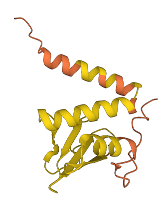 LINC01553 3D structure