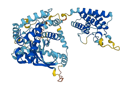 PI4KAP2 3D structure