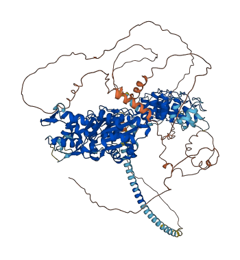 POTEF 3D structure