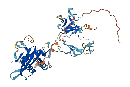 CLEC18A 3D structure