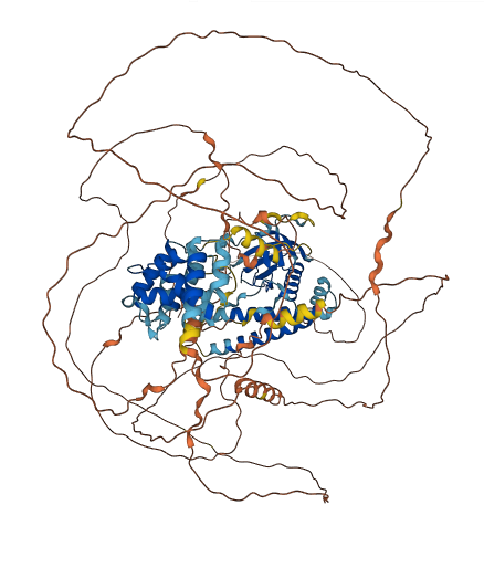 PSD 3D structure