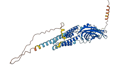 HTR3E 3D structure