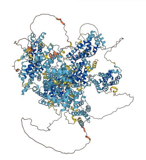 CNOT1 3D structure