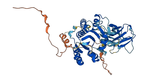 Mgat4e 3D structure