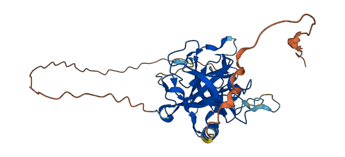 Prss40 3D structure