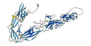 CDHR4 3D structure