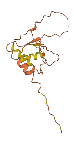 C5orf63 3D structure