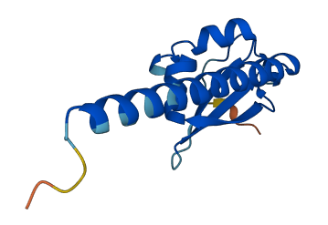 DPPA5 3D structure