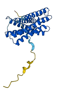TMEM150B 3D structure