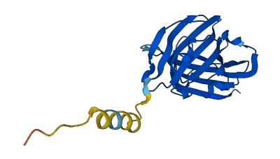 PINLYP 3D structure