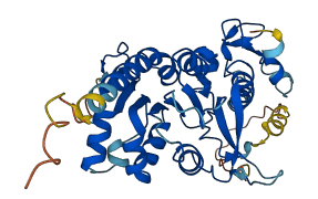 FAM172BP 3D structure