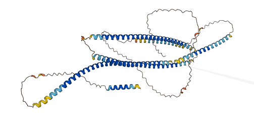 GOLGA8O 3D structure
