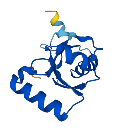 MAP1LC3B2 3D structure