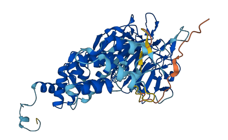 KLHL33 3D structure