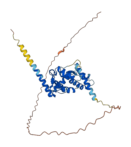 MAGEA13P 3D structure