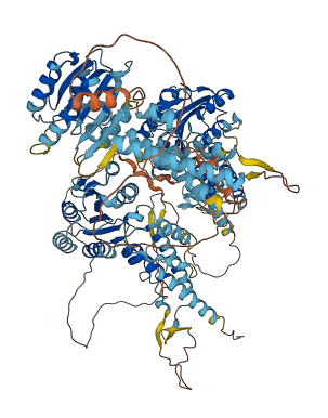 VWA3A 3D structure