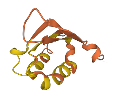 LINC00862 3D structure