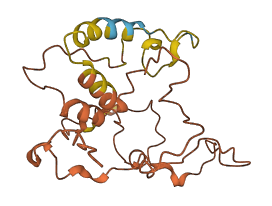 C19orf71 3D structure