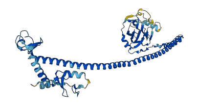 TRIM43B 3D structure