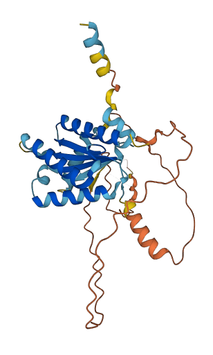 C2orf72 3D structure