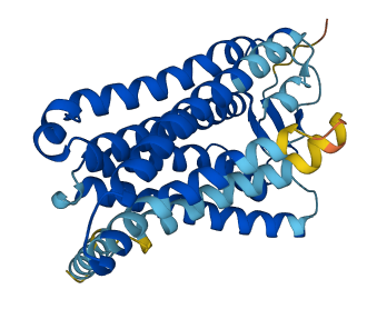 OR6C74 3D structure