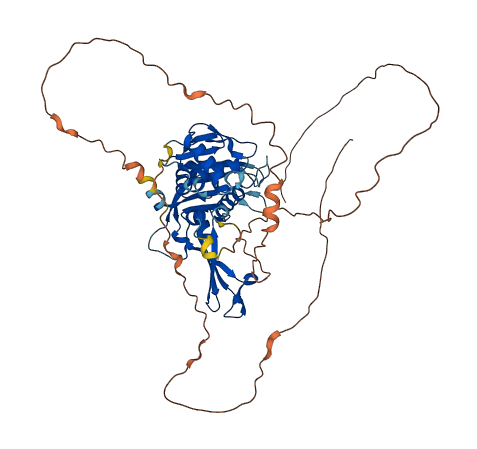 USP17L4 3D structure