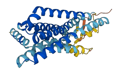 OR14I1 3D structure