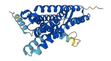 OR5H15 3D structure