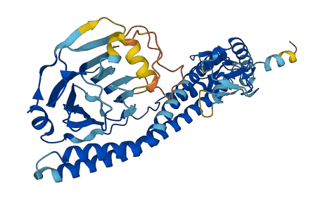 TRIM49B 3D structure