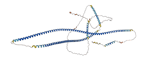 GOLGA6C 3D structure