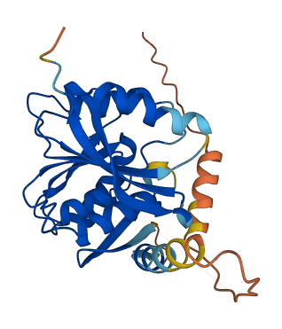 METTL21EP 3D structure