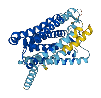 OR6C68 3D structure