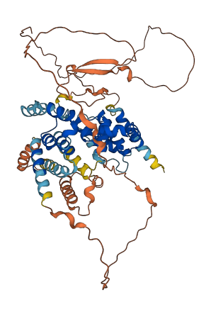 TBC1D3B 3D structure