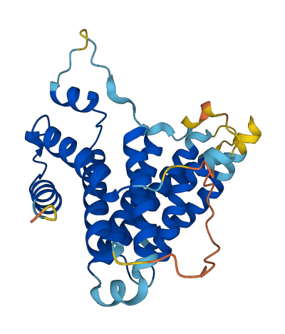 C5orf51 3D structure
