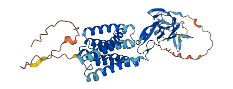 TMEM8B 3D structure