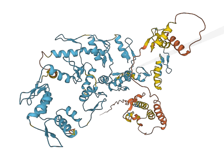 ZNF840P 3D structure